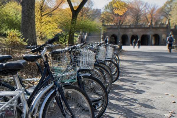 Guided Bike Tour of Central Park New York City