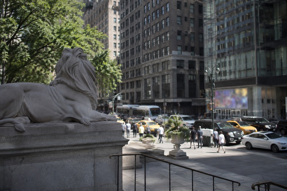 The stone lions guarding the New York Public Library steps with 5th Avenue traffic in the background