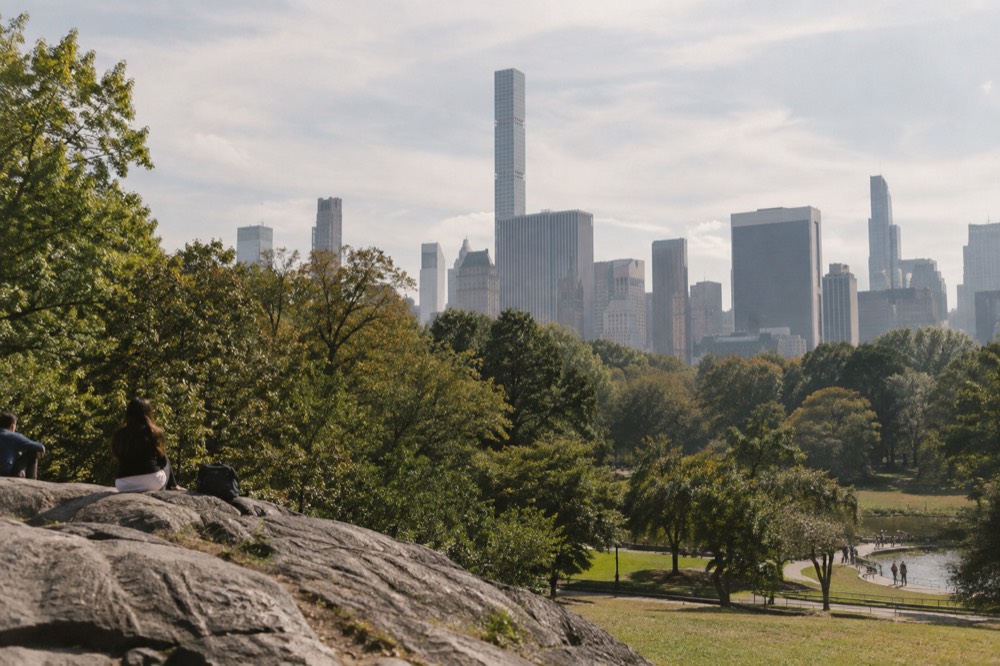 Central Park greenery with the Manhattan skyline rising behind the trees
