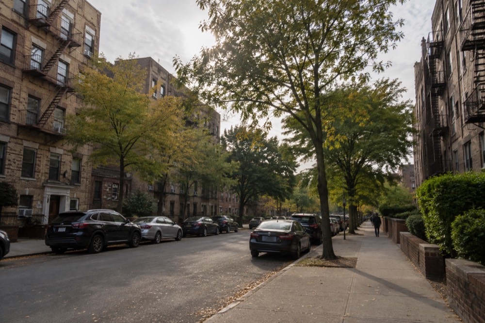 A wide residential street in the Bronx with apartment buildings and trees