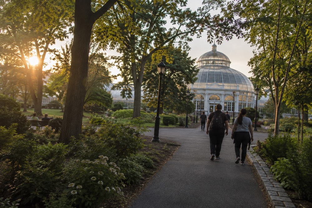 A garden path with trees and a conservatory building in the distance