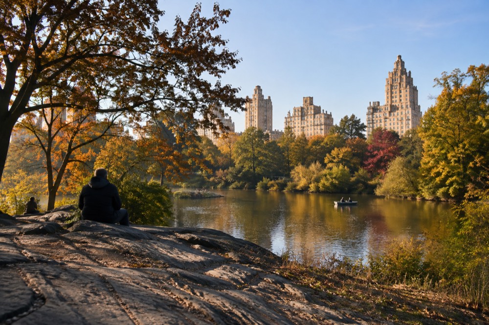 Fifth Avenue apartment buildings facing Central Park on a clear morning