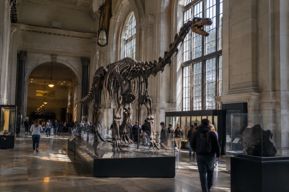 A wide museum corridor with tall arched windows and scattered visitors walking between exhibit halls