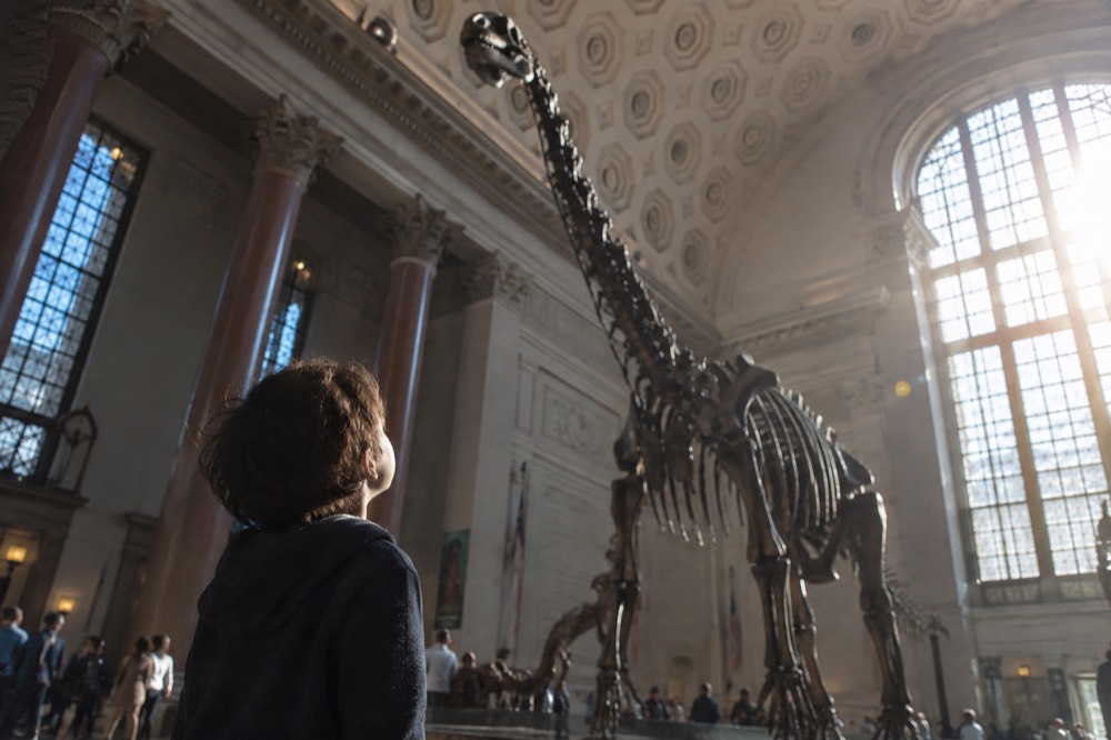 A child looking up at a tall dinosaur fossil skeleton mounted in a large hall