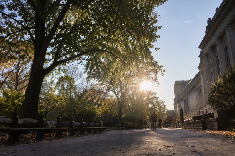 Fifth Avenue running alongside Central Park with museum buildings on the right