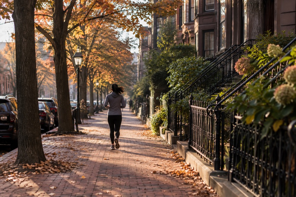 Autumn foliage along a brick sidewalk in a Boston neighborhood