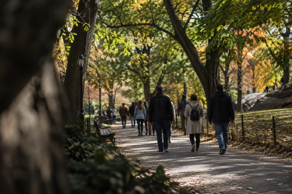 People walking along a tree-lined path in Central Park on a clear fall day