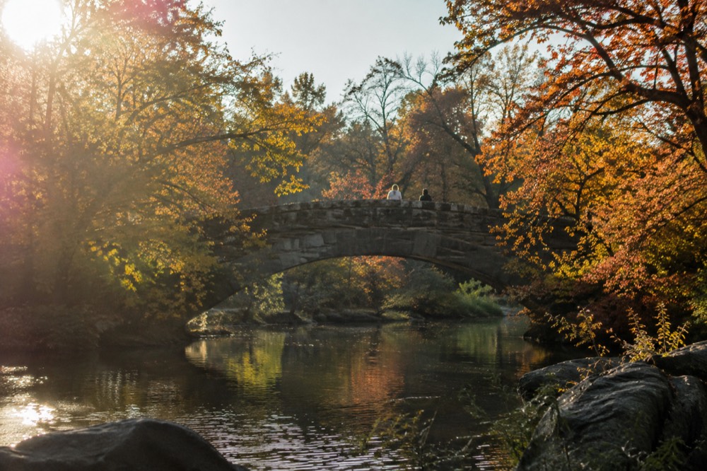 A narrow stone bridge over a pond in Central Park with fall foliage
