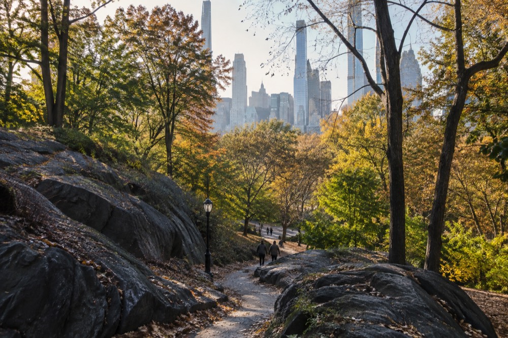 A wooded path in Central Park with large rock outcrops and the skyline visible through the trees