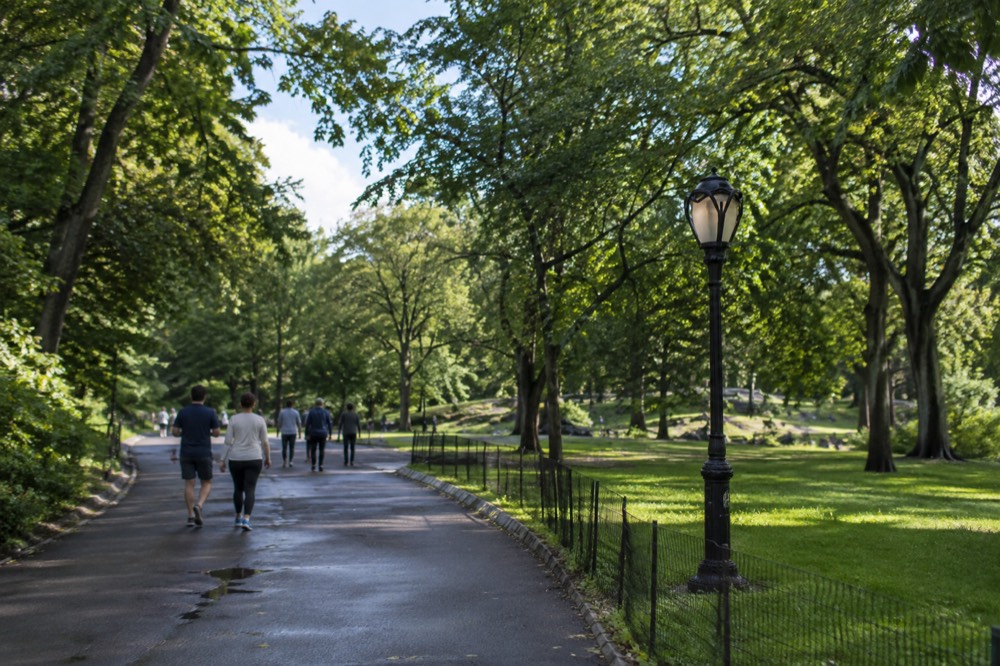 Visitors walking through Central Park on a sunny afternoon