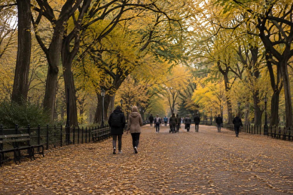 The elm-lined Mall in Central Park with golden canopy and fallen leaves on the path