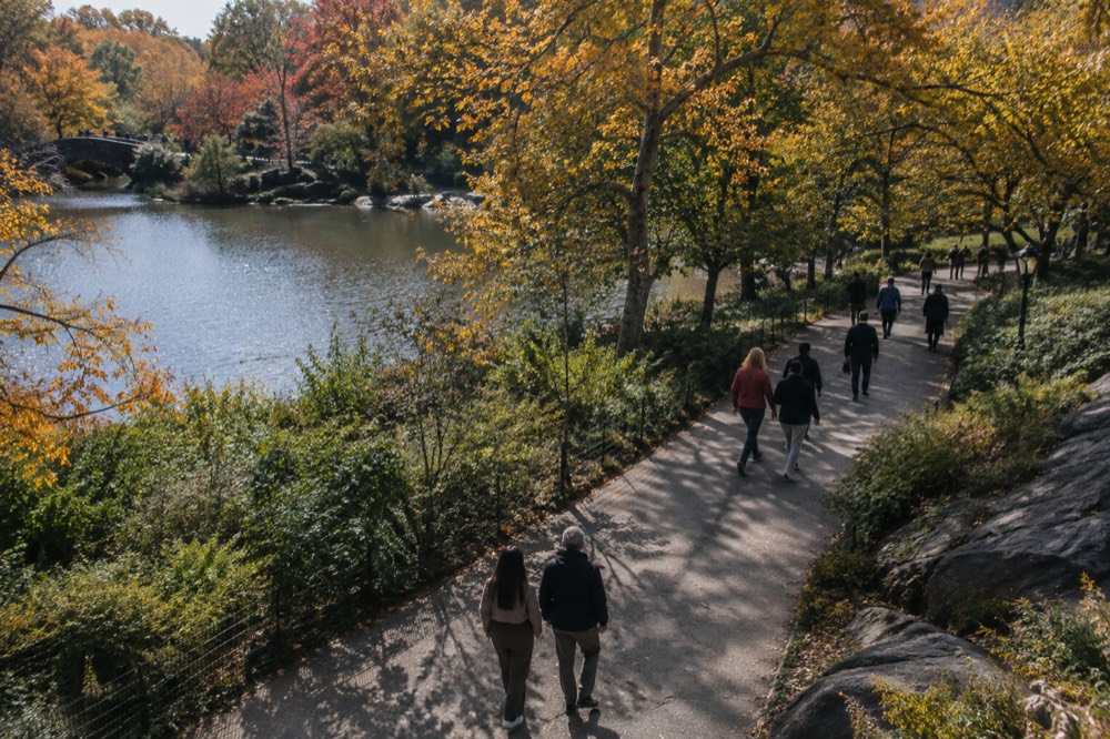 People walking through Central Park with autumn foliage