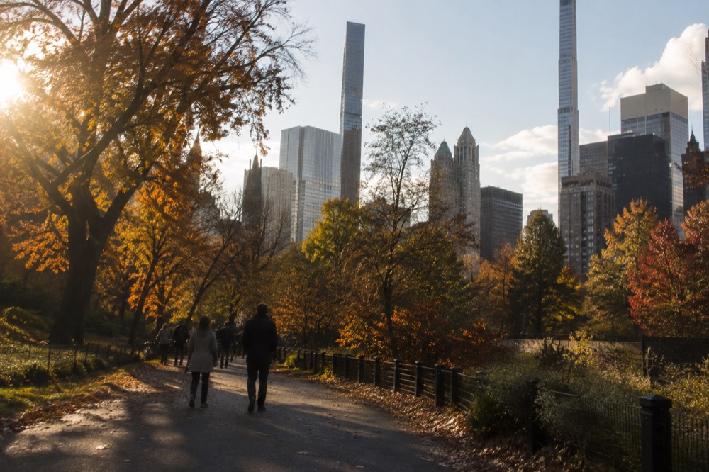 Fall foliage along a Central Park path with the skyline behind