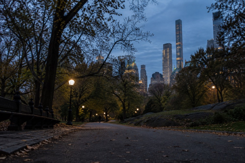 An empty tree-lined path in Central Park in early morning light with the skyline visible above the trees