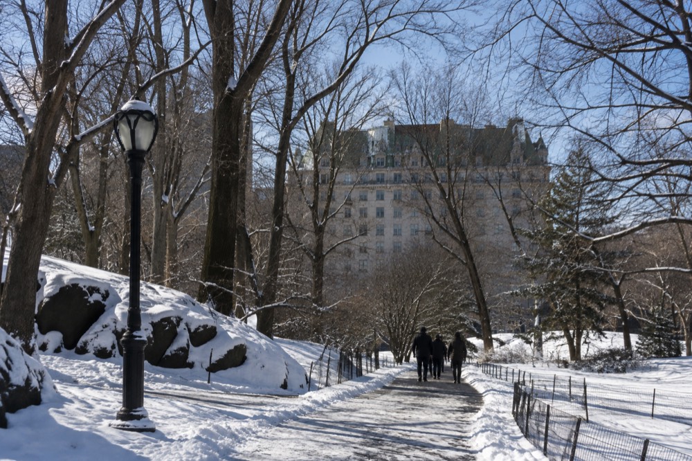 A snowy Central Park pathway with bare trees and a distant Plaza hotel facade